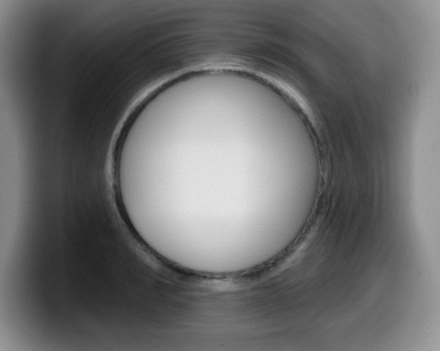 X0000099480990200805090830