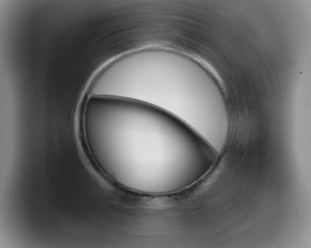 X0000099480991200805090830