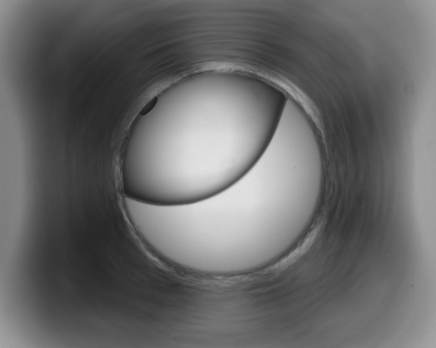 X0000099480993200805090830