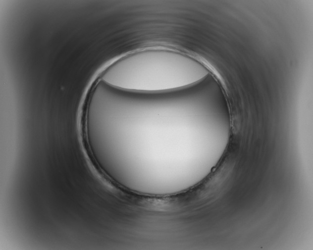 X0000099480995200805090830