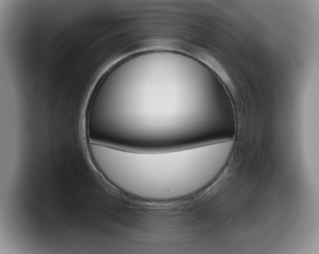 X0000099480996200805090830