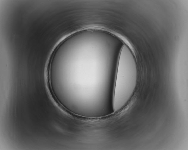 X0000099480999200805090829