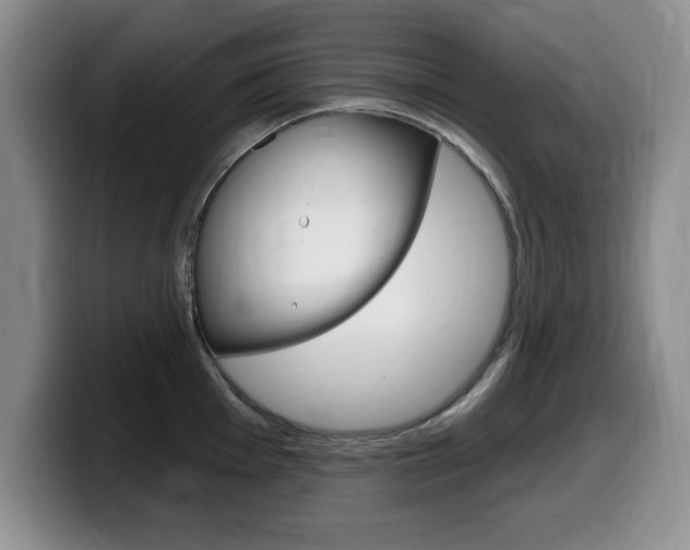 X0000099481001200805090829