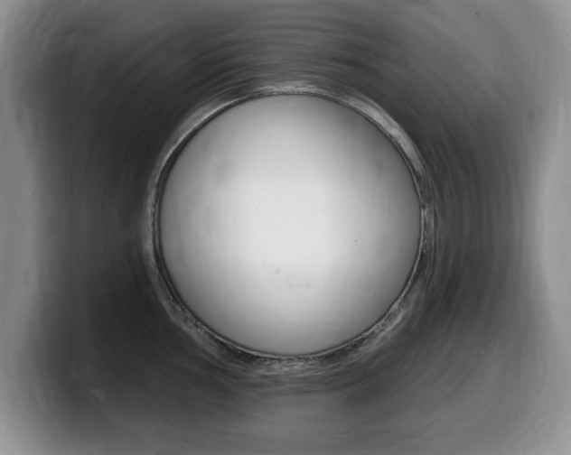 X0000099481002200805090829