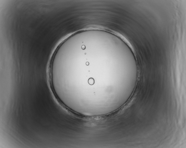 X0000099481003200805090829