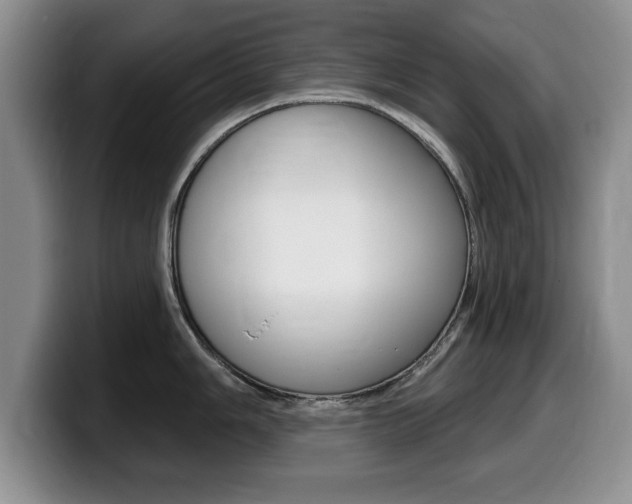 X0000099481006200805090829