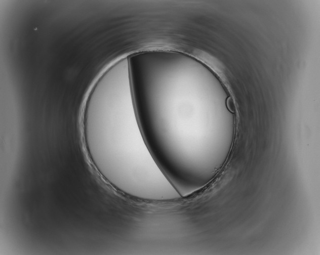 X0000099481008200805090829