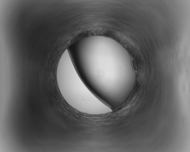 X0000099481010200805090829