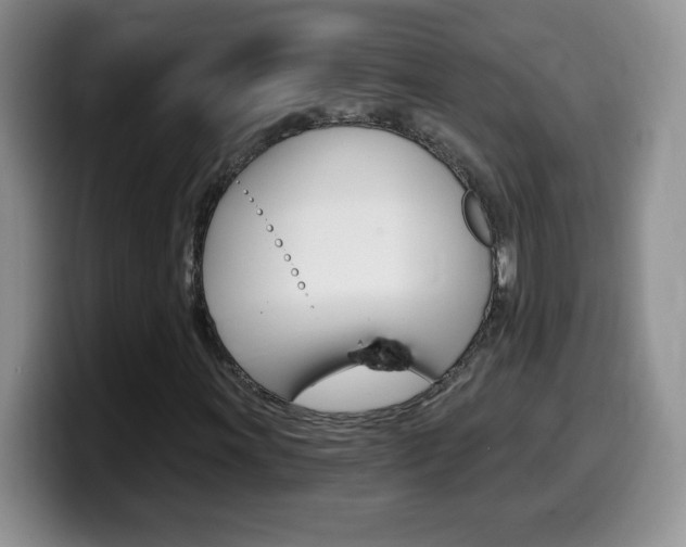 X0000099481011200805090829