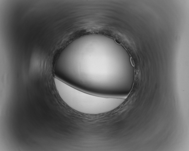 X0000099481012200805090829