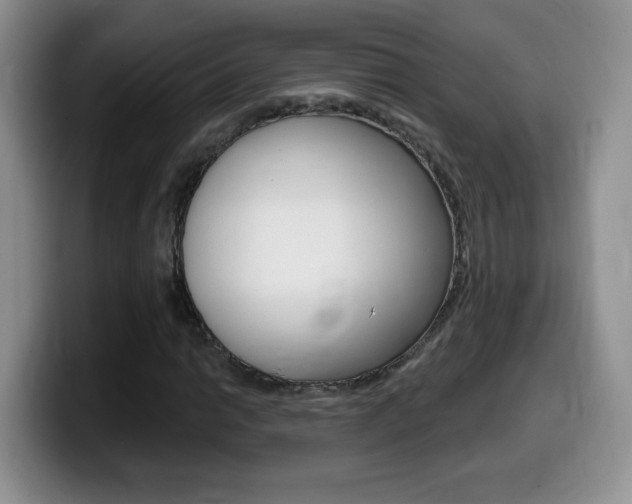 X0000099481014200805090829
