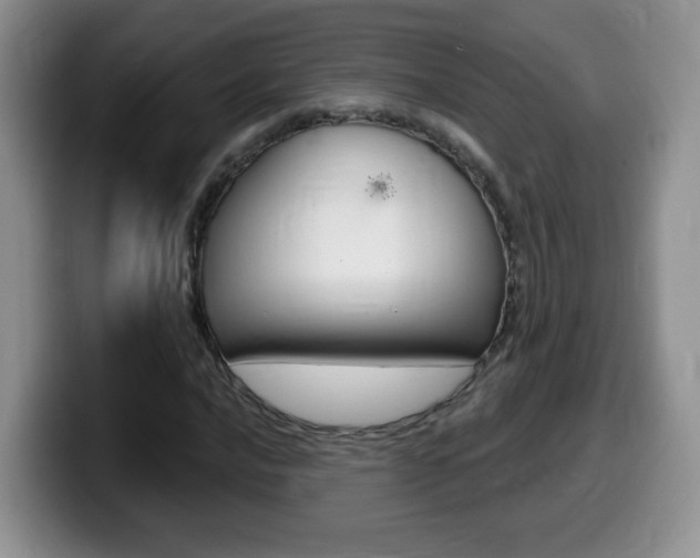 X0000099481016200805090829