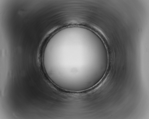 X0000099481018200805090829