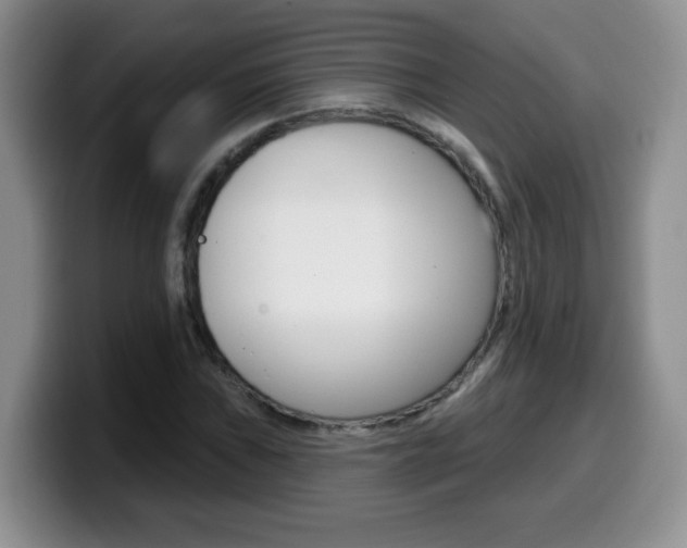 X0000099481019200805090829