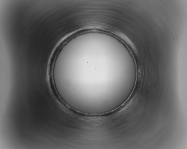 X0000099481020200805090829