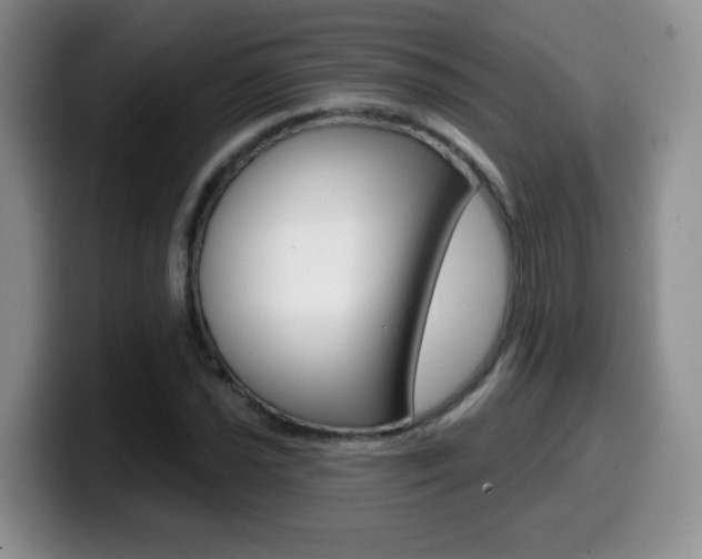 X0000099481021200805090829