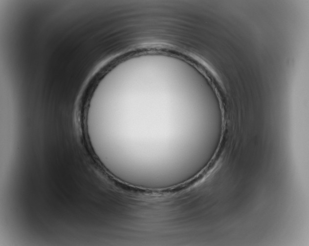 X0000099481022200805090829