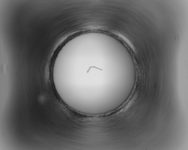 X0000099481023200805090829