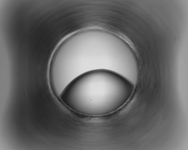 X0000099481028200805090829