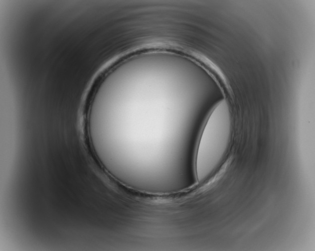 X0000099481029200805090829