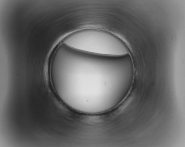 X0000099481030200805090829