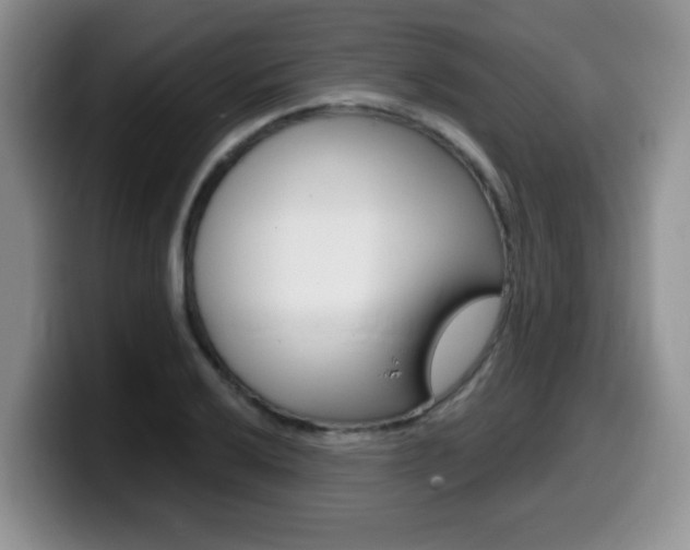 X0000099481032200805090829