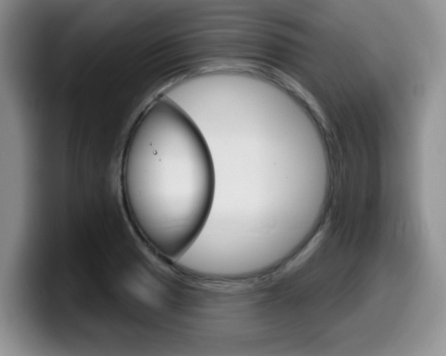 X0000099481033200805090829