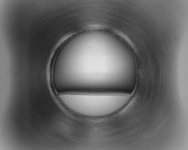 X0000099481034200805090829