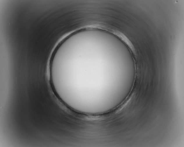 X0000099481036200805090829