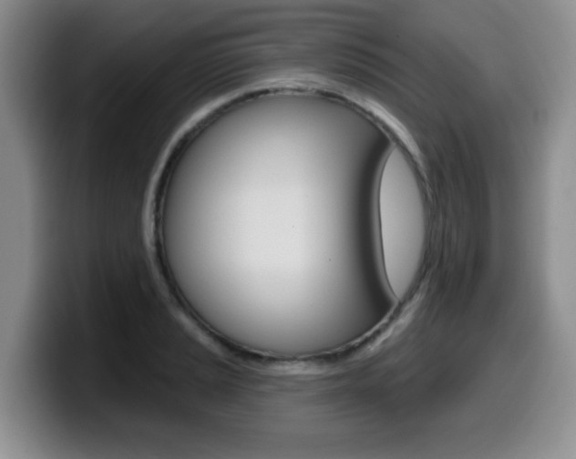 X0000099481037200805090829