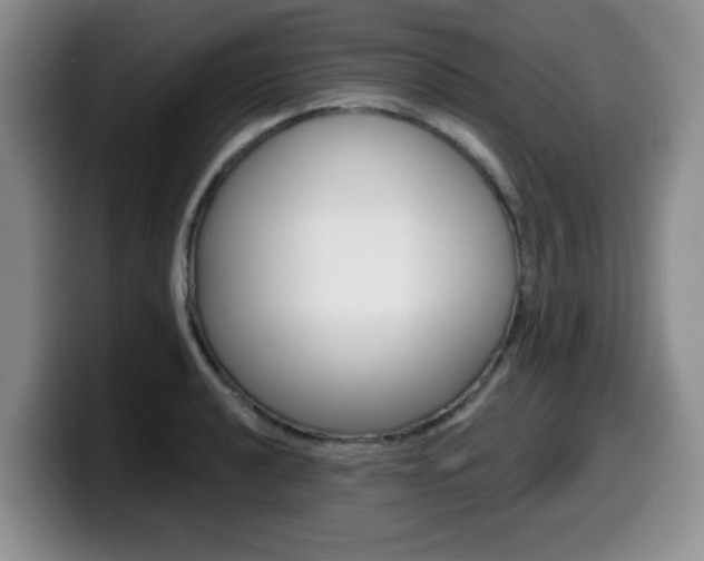 X0000099481040200805090829