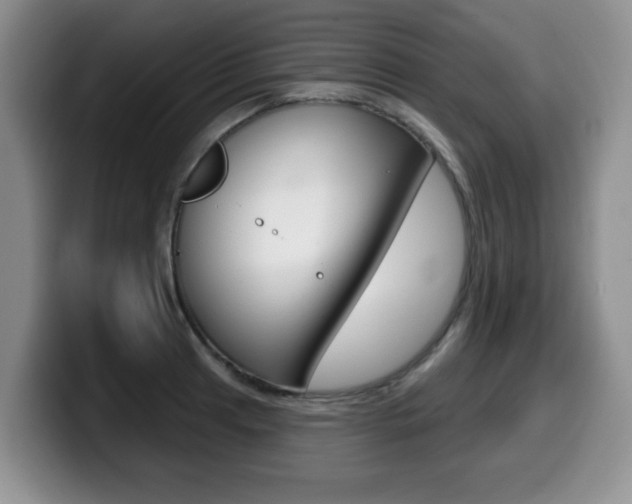 X0000099481041200805090829