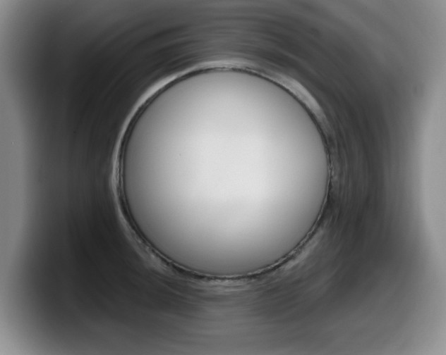 X0000099481044200805090829