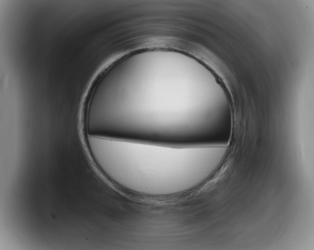 X0000099481045200805090829