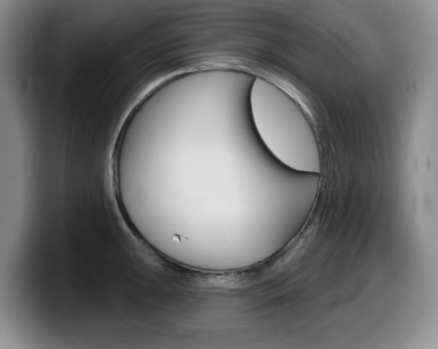 X0000099481047200805090829