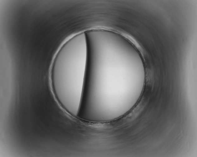 X0000099481048200805090829