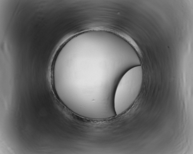 X0000099481051200805090829