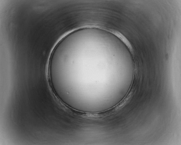 X0000099481052200805090829