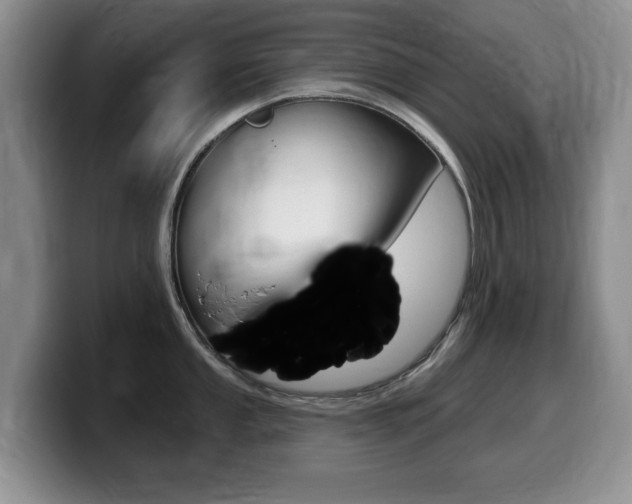 X0000099481053200805090829