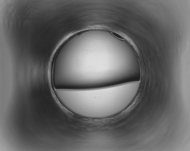 X0000099481054200805090829