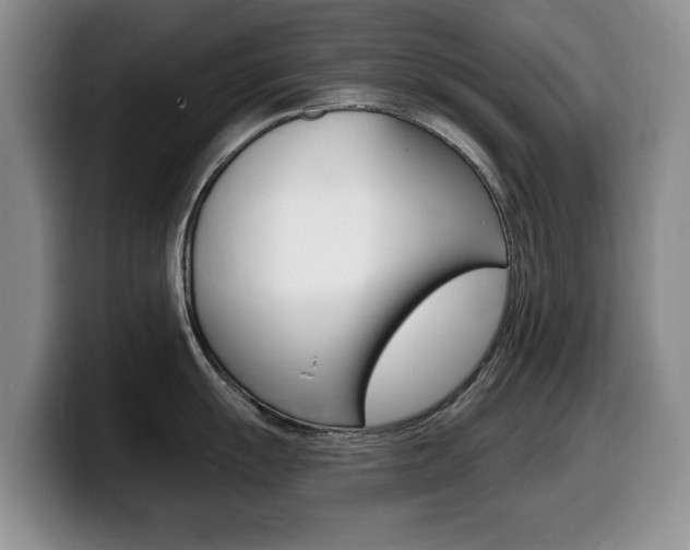 X0000099481055200805090829