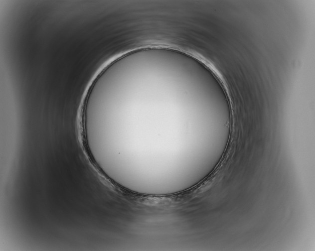 X0000099481056200805090829