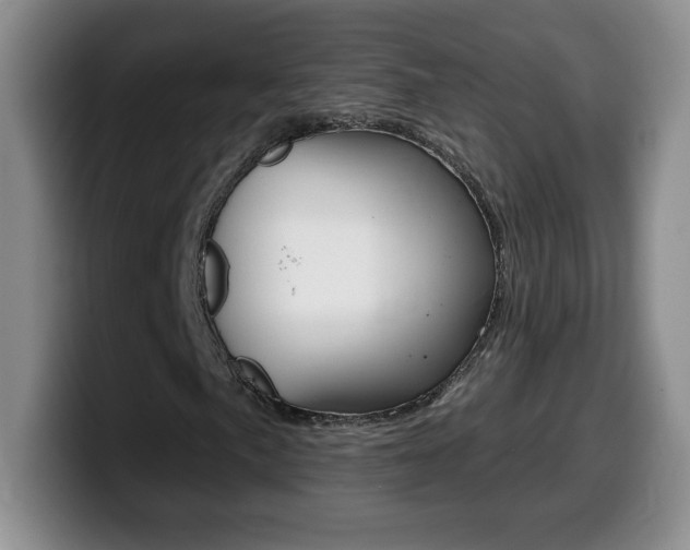 X0000099481057200805090829