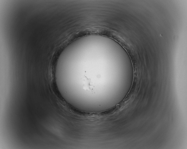 X0000099481058200805090829
