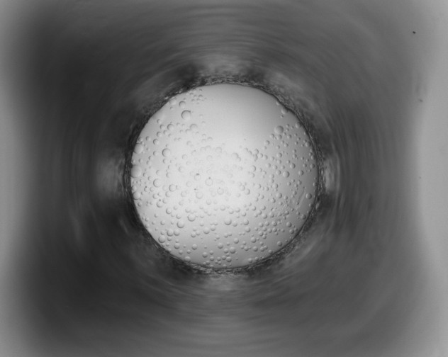 X0000099481059200805090829