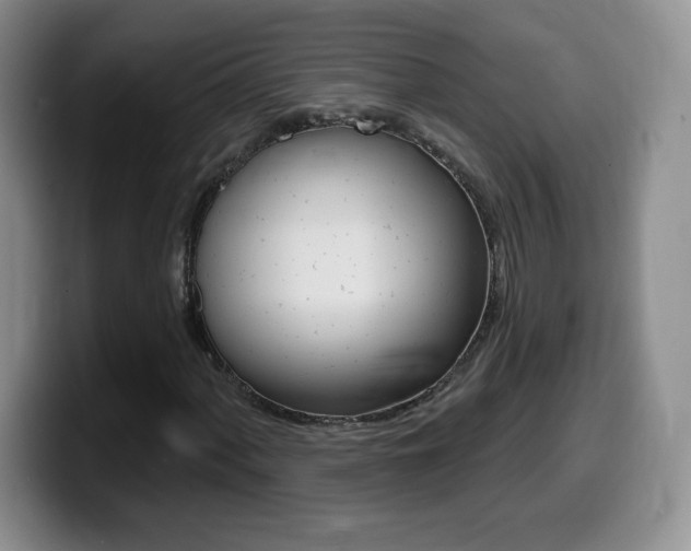 X0000099481060200805090829