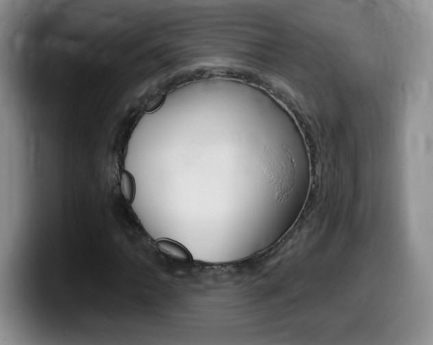 X0000099481062200805090829