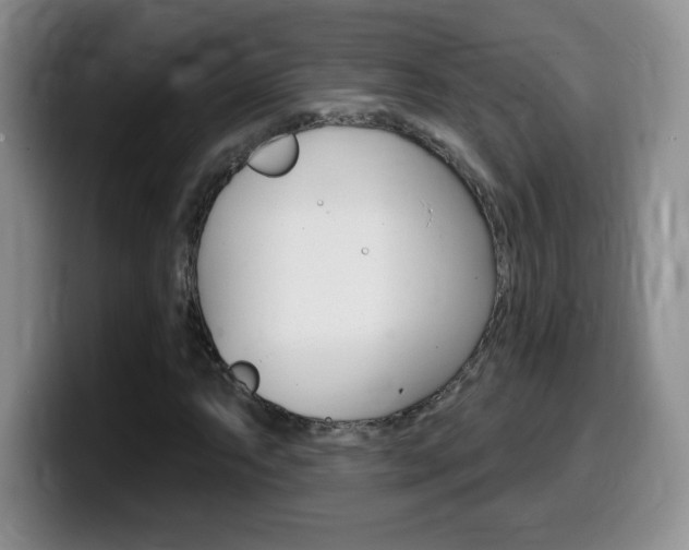 X0000099481063200805090829