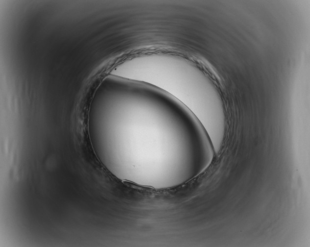 X0000099481064200805090829