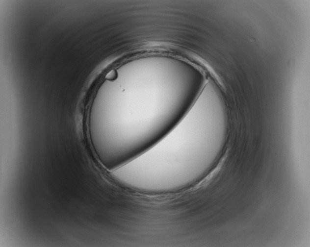 X0000099481066200805090829